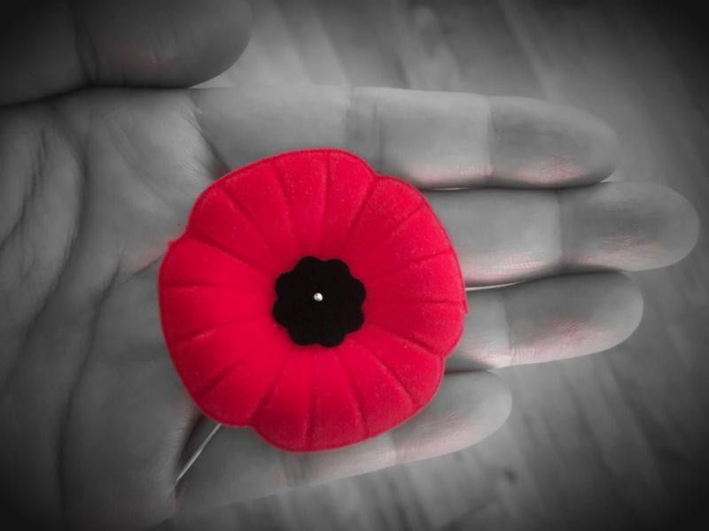 Office Closed for Remembrance Day